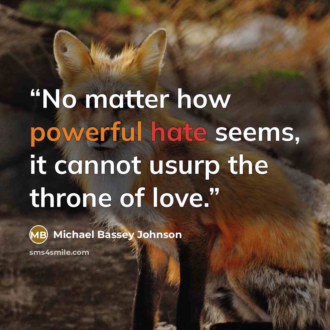 “No matter how powerful hate seems, it cannot usurp the throne of love.” quote by Michael Bassey Johnson