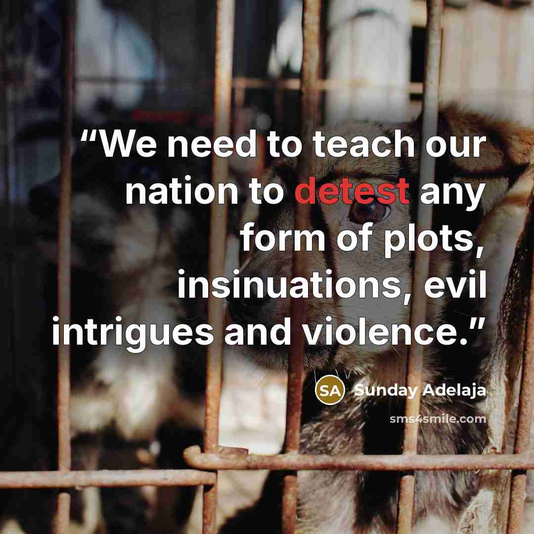 “We need to teach our nation to detest any form of plots, insinuations, evil intrigues and violence.” quote by Sunday Adelaja