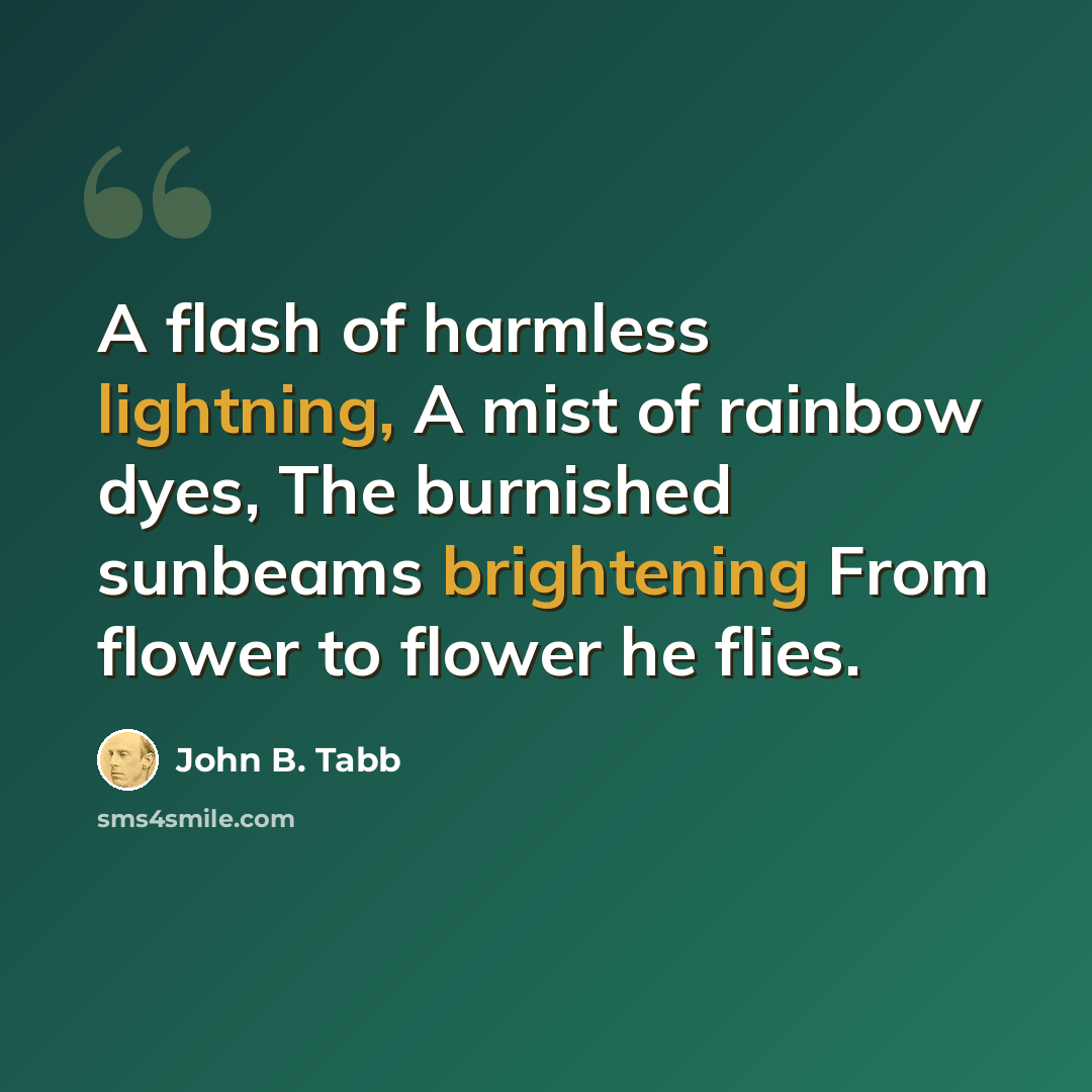 “A flash of harmless lightning, A mist of rainbow dyes, The burnished sunbeams brightening From flower to flower he flies.” quote by John B. Tabb