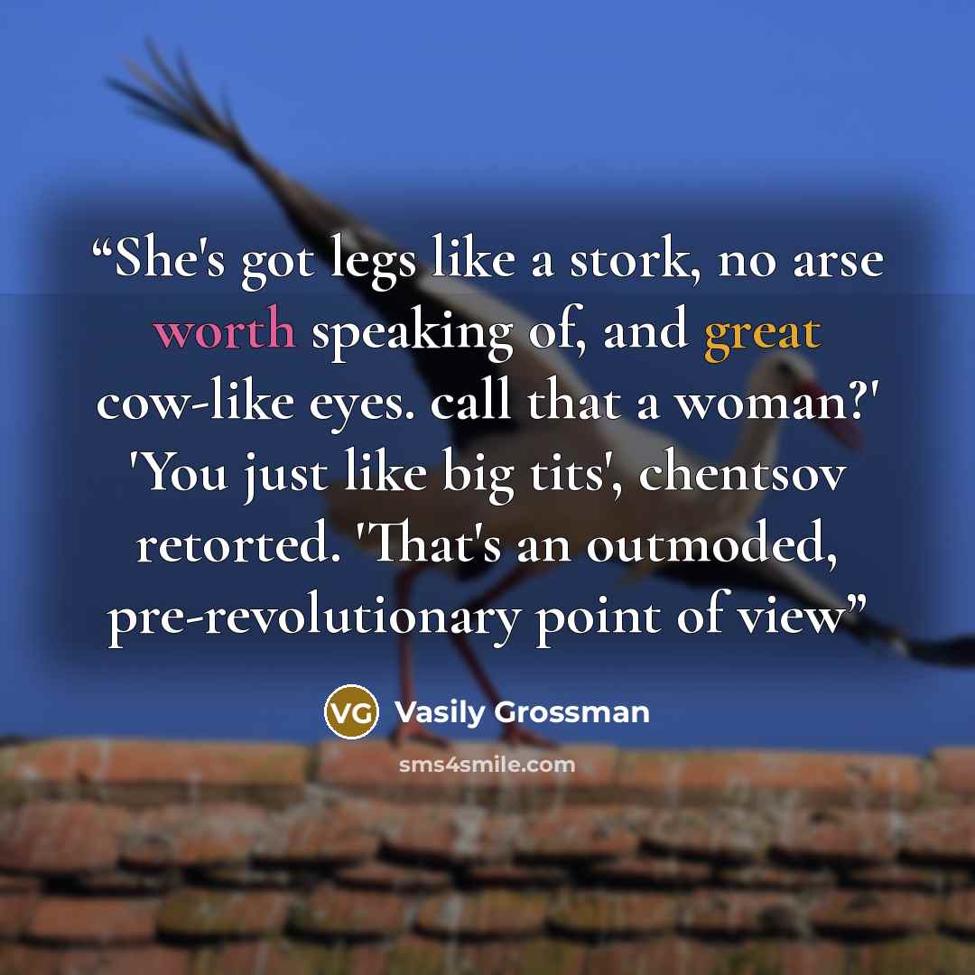 “She's got legs like a stork, no arse worth speaking of, and great cow-like eyes. call that a woman?' 'You just like big tits', chentsov retorted. 'That's an outmoded, pre-revolutionary point of view” quote by Vasily Grossman