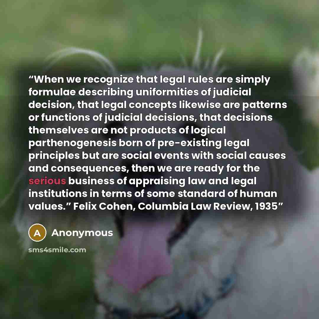 “When we recognize that legal rules are simply formulae describing uniformities of judicial decision, that legal concepts likewise are patterns or functions of judicial decisions, that decisions themselves are not products of logical parthenogenesis born of pre-existing legal principles but are…” quote by Anonymous