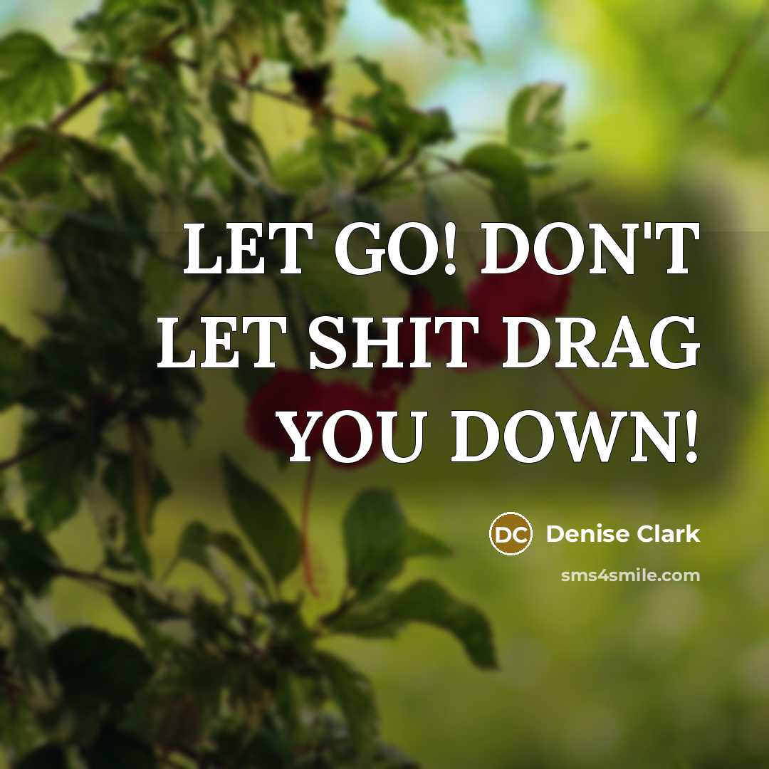 “LET GO! DON'T LET SHIT DRAG YOU DOWN!” quote by Denise Clark