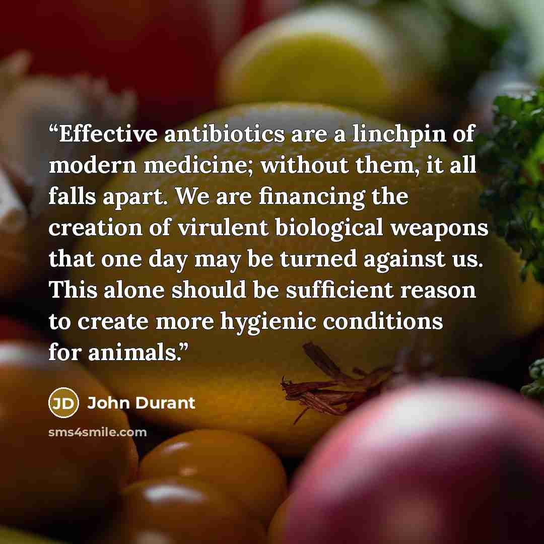“Effective antibiotics are a linchpin of modern medicine; without them, it all falls apart. We are financing the creation of virulent biological weapons that one day may be turned against us. This alone should be sufficient reason to create more hygienic conditions for animals.” quote by John Durant