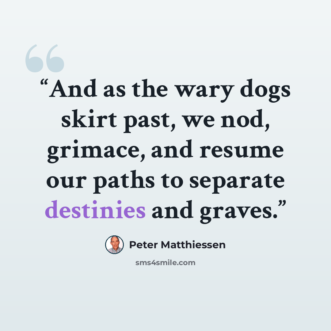 “And as the wary dogs skirt past, we nod, grimace, and resume our paths to separate destinies and graves.” quote by Peter Matthiessen