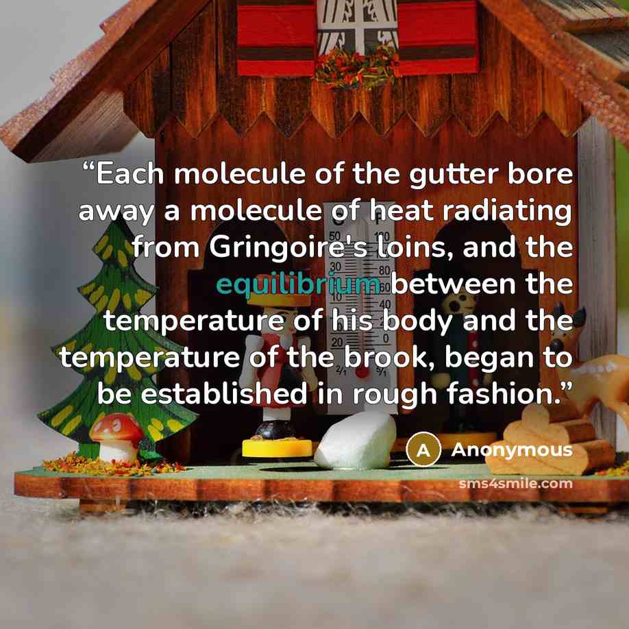 “Each molecule of the gutter bore away a molecule of heat radiating from Gringoire's loins, and the equilibrium between the temperature of his body and the temperature of the brook, began to be established in rough fashion.” quote by Anonymous