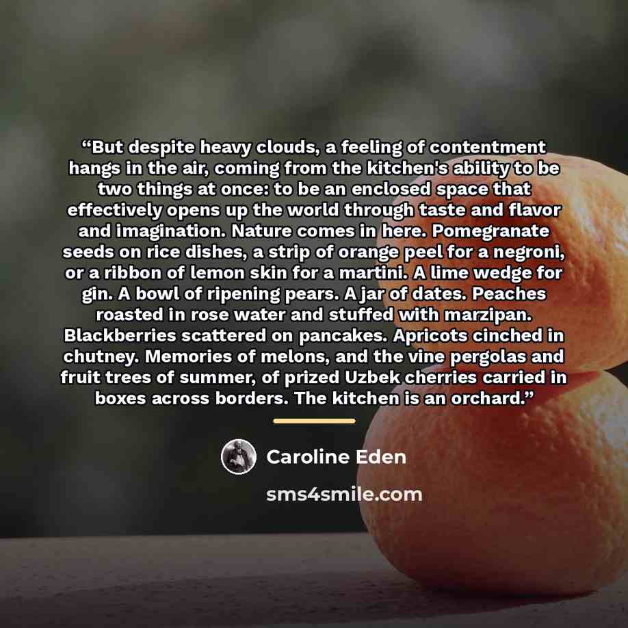 “But despite heavy clouds, a feeling of contentment hangs in the air, coming from the kitchen's ability to be two things at once: to be an enclosed space that effectively opens up the world through taste and flavor and imagination. Nature comes in here. Pomegranate seeds on rice dishes, a strip of…” quote by Caroline Eden
