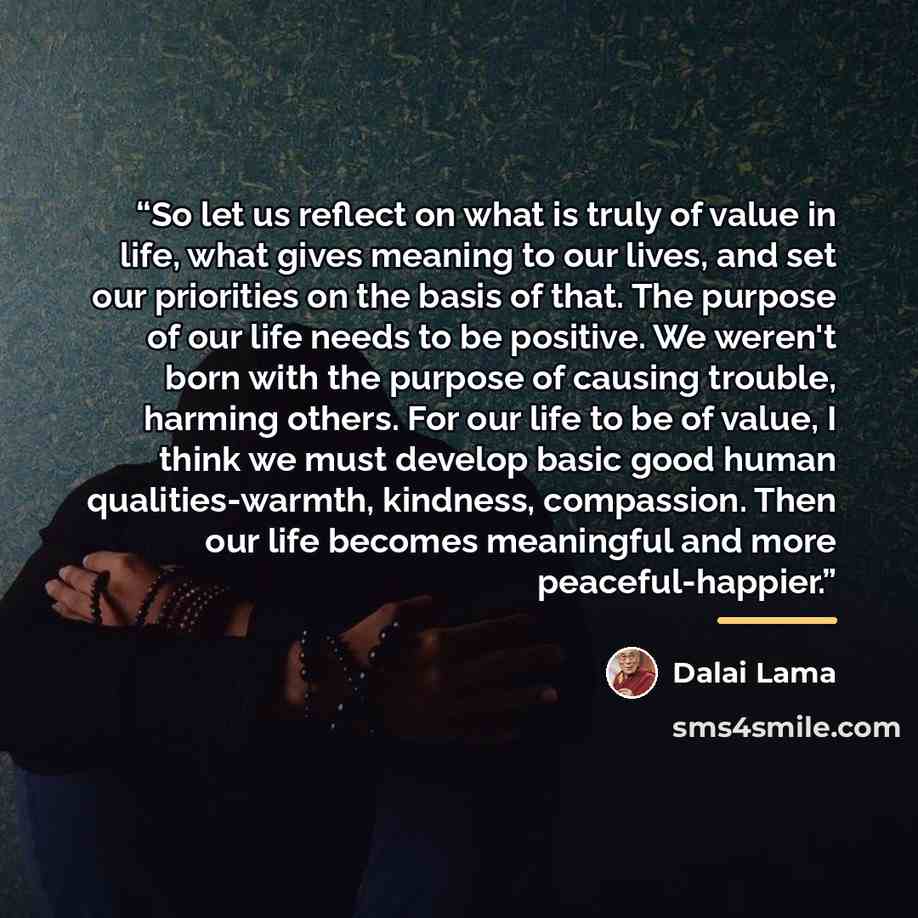 “So let us reflect on what is truly of value in life, what gives meaning to our lives, and set our priorities on the basis of that. The purpose of our life needs to be positive. We weren't born with the purpose of causing trouble, harming others. For our life to be of value, I think we must develop…” quote by Dalai Lama