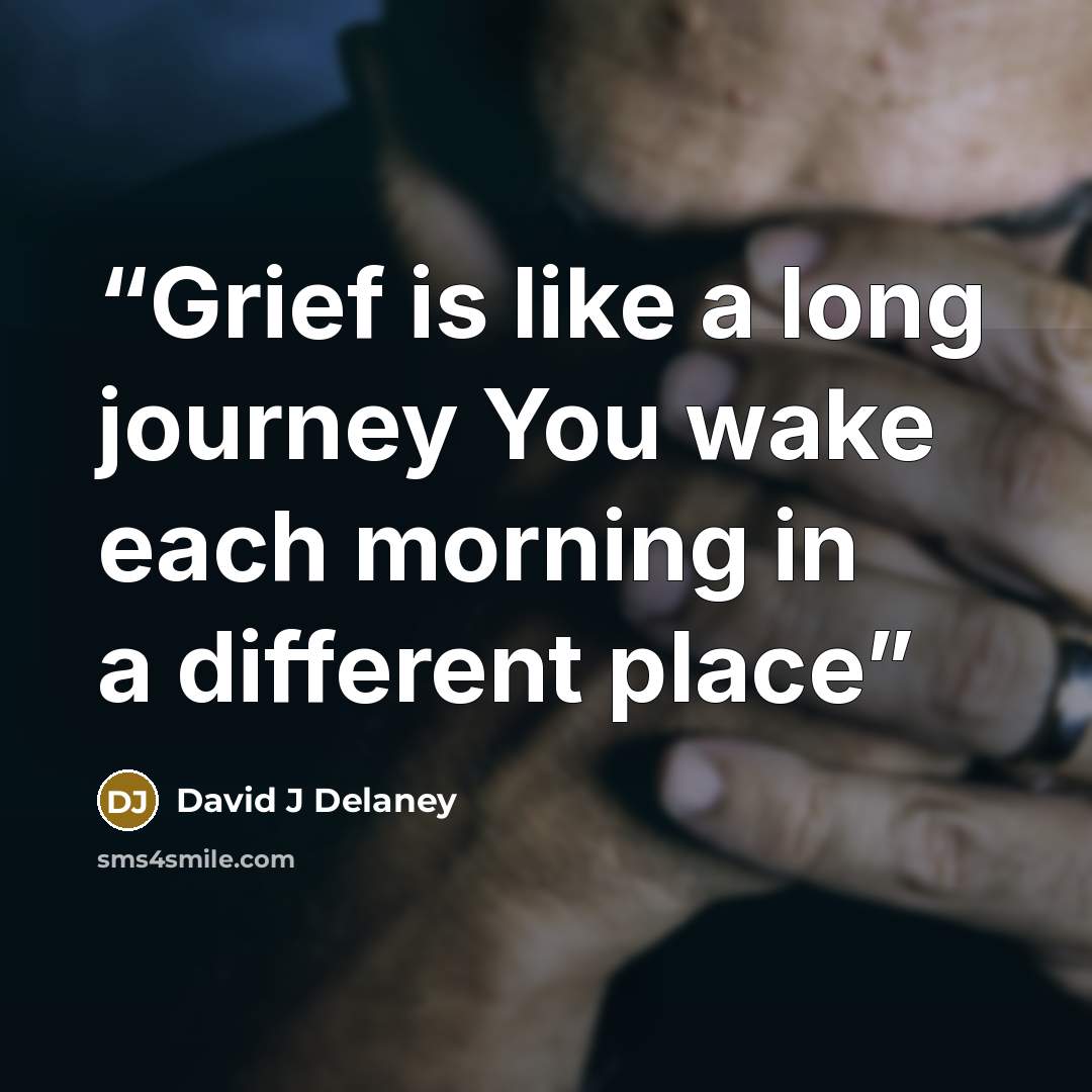 “Grief is like a long journey You wake each morning in a different place” quote by David J Delaney