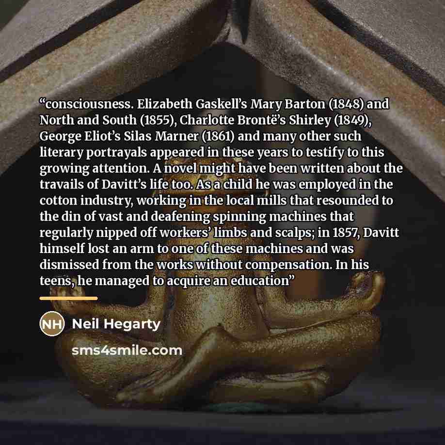 “consciousness. Elizabeth Gaskell’s Mary Barton (1848) and North and South (1855), Charlotte Brontë’s Shirley (1849), George Eliot’s Silas Marner (1861) and many other such literary portrayals appeared in these years to testify to this growing attention. A novel might have been written about the…” quote by Neil Hegarty