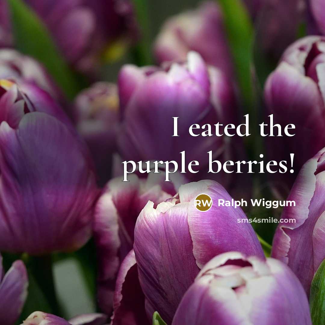 “I eated the purple berries!” quote by Ralph Wiggum