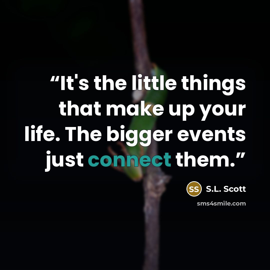 “It's the little things that make up your life. The bigger events just connect them.” quote by S.L. Scott