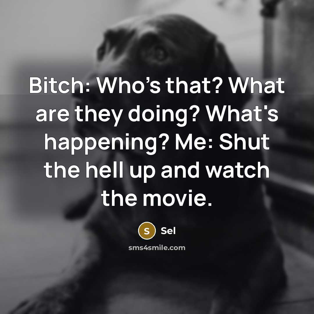 “Bitch: Who's that? What are they doing? What's happening? Me: Shut the hell up and watch the movie.” quote by Sel