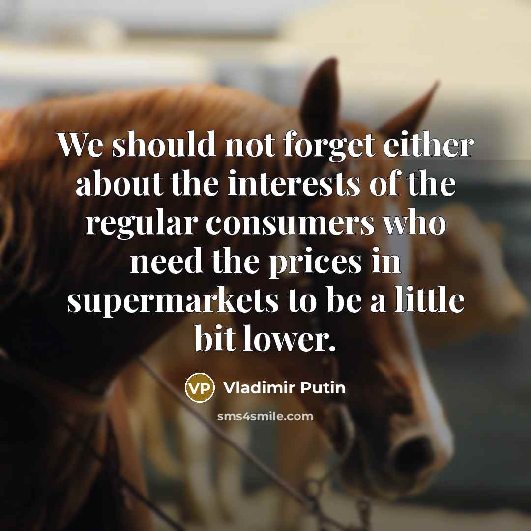 “We should not forget either about the interests of the regular consumers who need the prices in supermarkets to be a little bit lower.” quote by Vladimir Putin