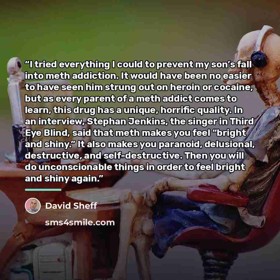 “I tried everything I could to prevent my son’s fall into meth addiction. It would have been no easier to have seen him strung out on heroin or cocaine, but as every parent of a meth addict comes to learn, this drug has a unique, horrific quality. In an interview, Stephan Jenkins, the singer in…” quote by David Sheff
