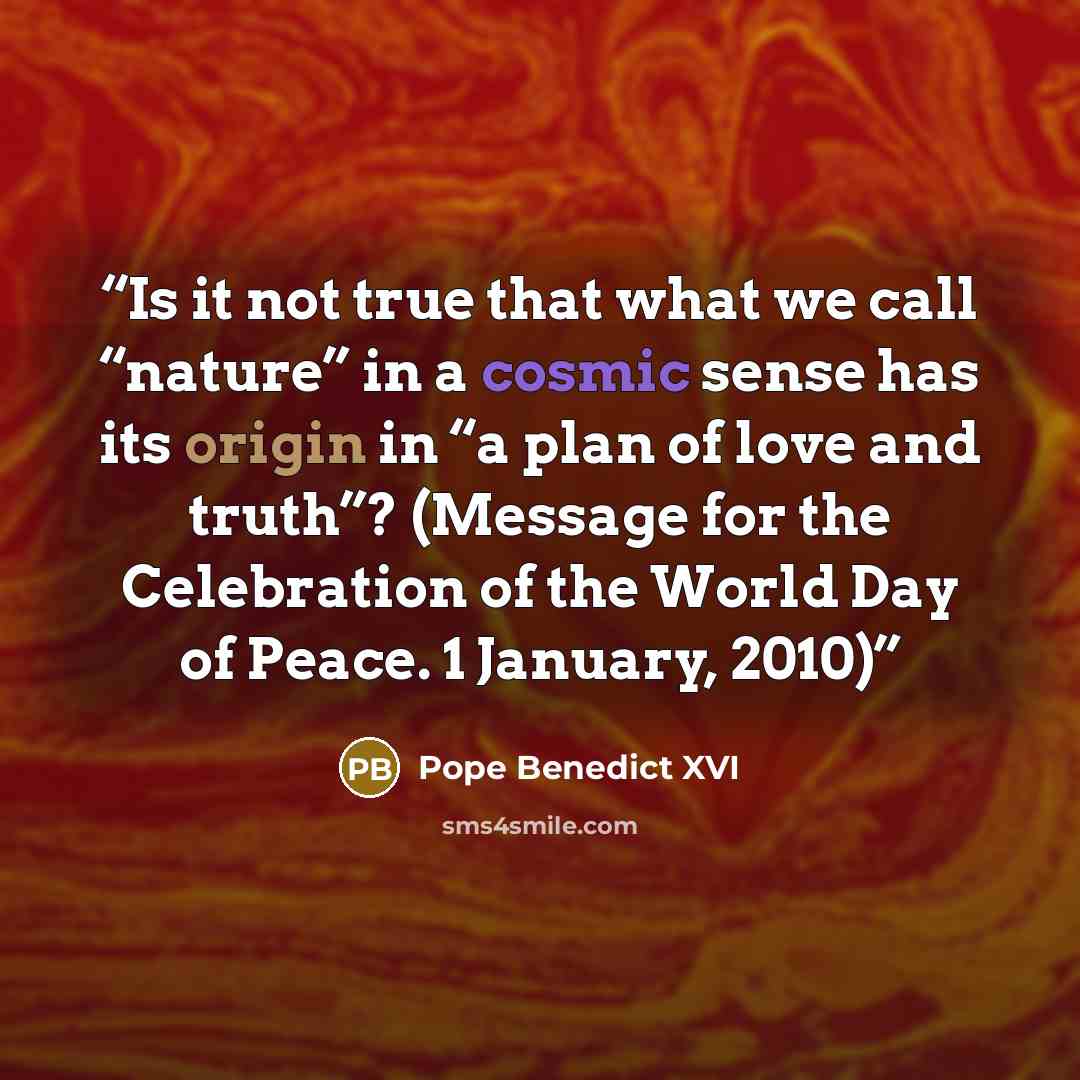 “Is it not true that what we call “nature” in a cosmic sense has its origin in “a plan of love and truth”? (Message for the Celebration of the World Day of Peace. 1 January, 2010)” quote by Pope Benedict XVI