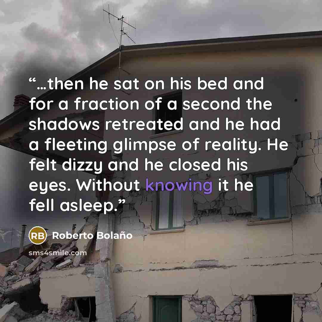 “…then he sat on his bed and for a fraction of a second the shadows retreated and he had a fleeting glimpse of reality. He felt dizzy and he closed his eyes. Without knowing it he fell asleep.” quote by Roberto Bolaño