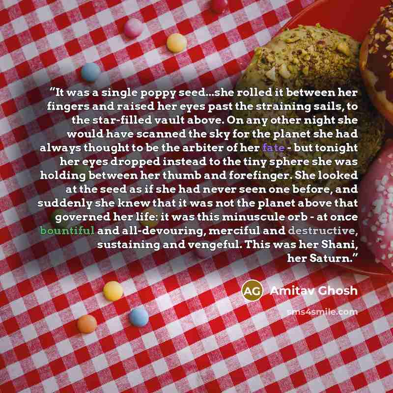“It was a single poppy seed...she rolled it between her fingers and raised her eyes past the straining sails, to the star-filled vault above. On any other night she would have scanned the sky for the planet she had always thought to be the arbiter of her fate - but tonight her eyes dropped instead…” quote by Amitav Ghosh