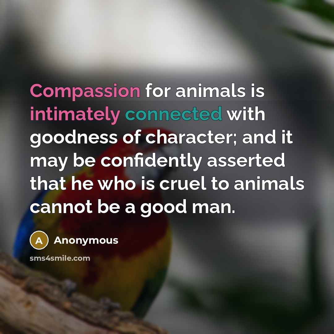“Compassion for animals is intimately connected with goodness of character; and it may be confidently asserted that he who is cruel to animals cannot be a good man.” quote by Anonymous