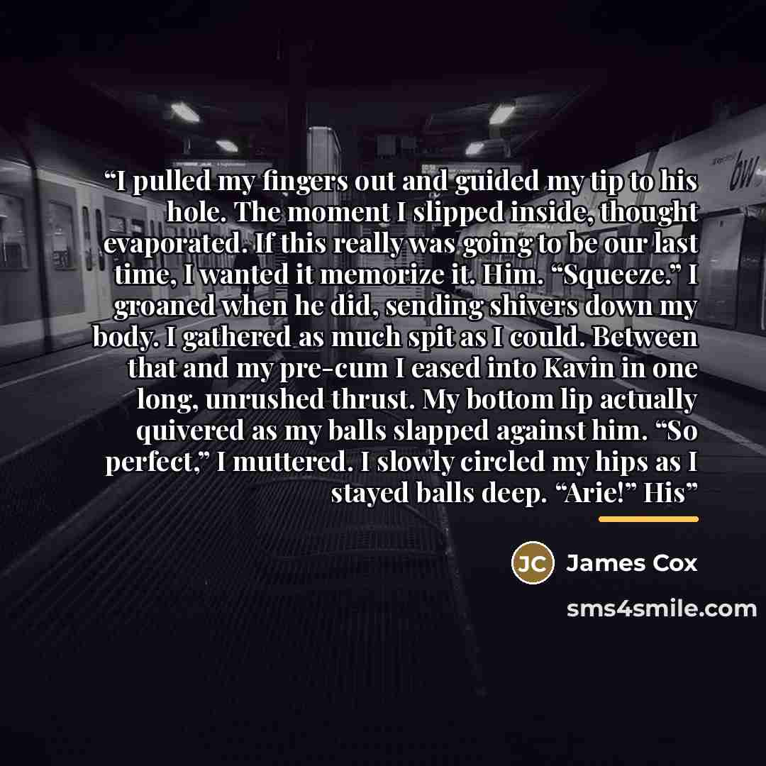 “I pulled my fingers out and guided my tip to his hole. The moment I slipped inside, thought evaporated. If this really was going to be our last time, I wanted it memorize it. Him. “Squeeze.” I groaned when he did, sending shivers down my body. I gathered as much spit as I could. Between that and…” quote by James Cox