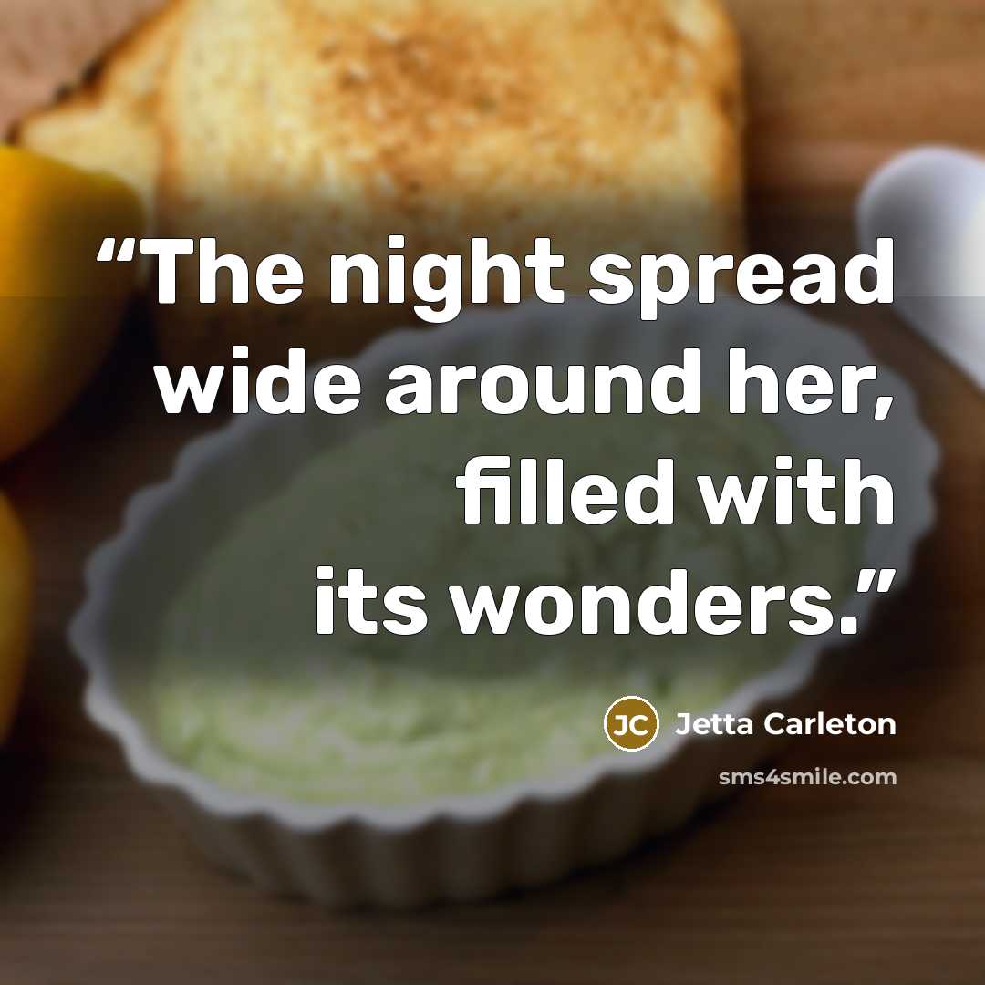 “The night spread wide around her, filled with its wonders.” quote by Jetta Carleton