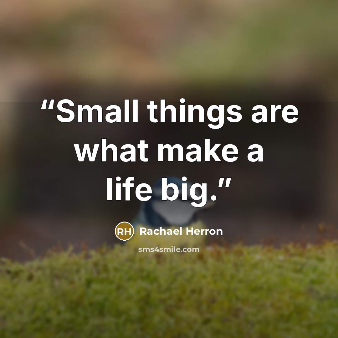 “Small things are what make a life big.” quote by Rachael Herron