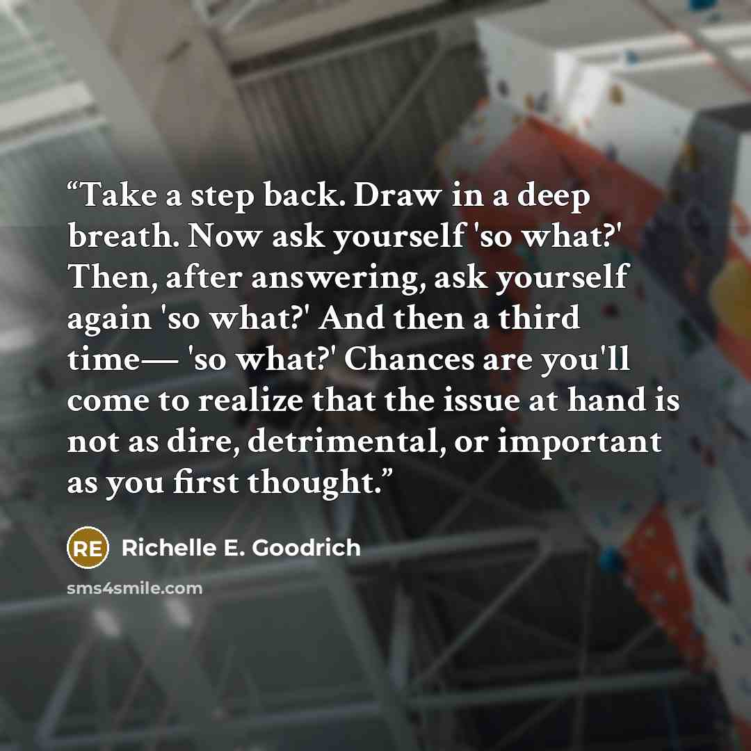 “Take a step back. Draw in a deep breath. Now ask yourself 'so what?' Then, after answering, ask yourself again 'so what?' And then a third time— 'so what?' Chances are you'll come to realize that the issue at hand is not as dire, detrimental, or important as you first thought.” quote by Richelle E. Goodrich