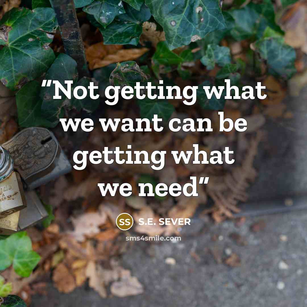“Not getting what we want can be getting what we need” quote by S.E. SEVER
