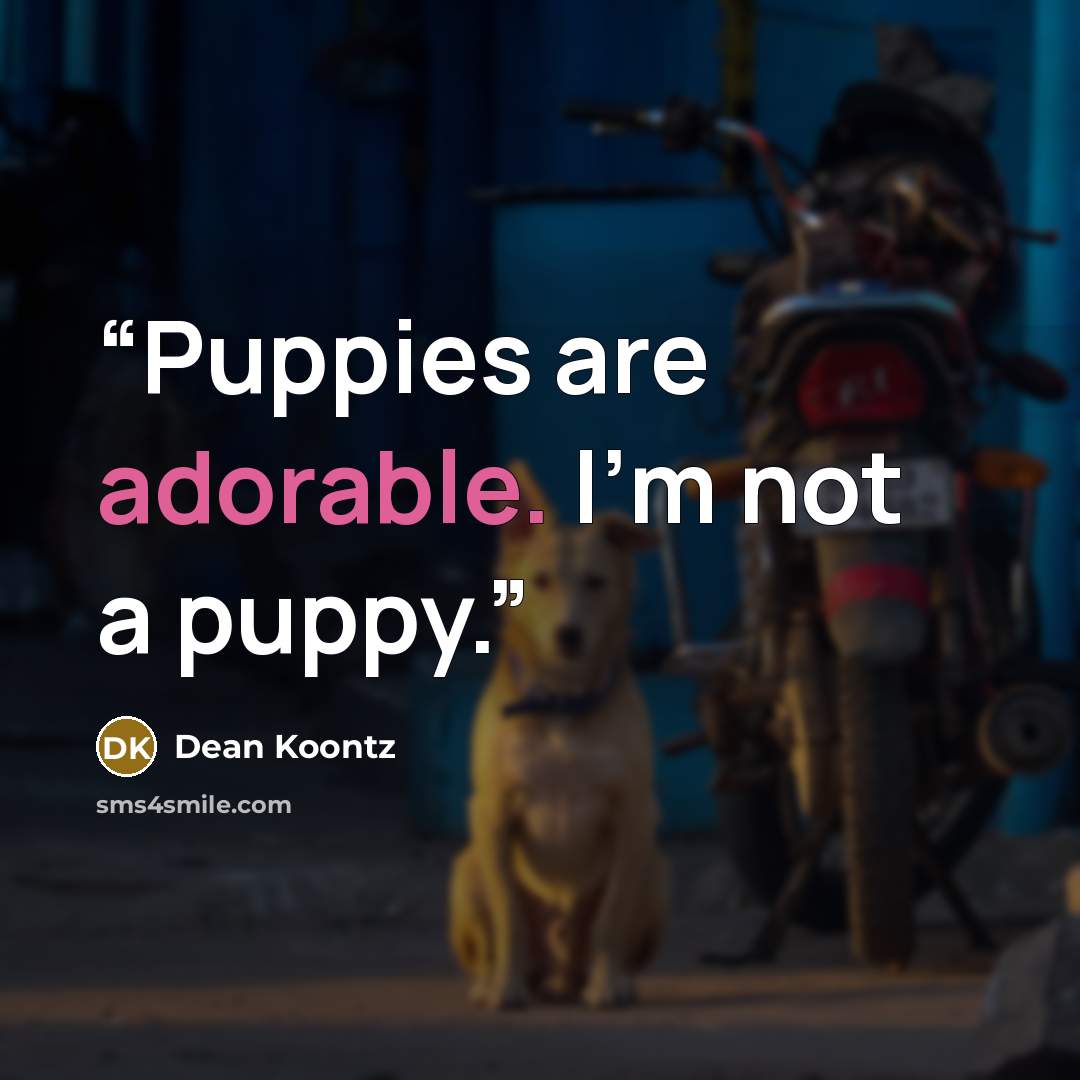 “Puppies are adorable. I'm not a puppy.” quote by Dean Koontz