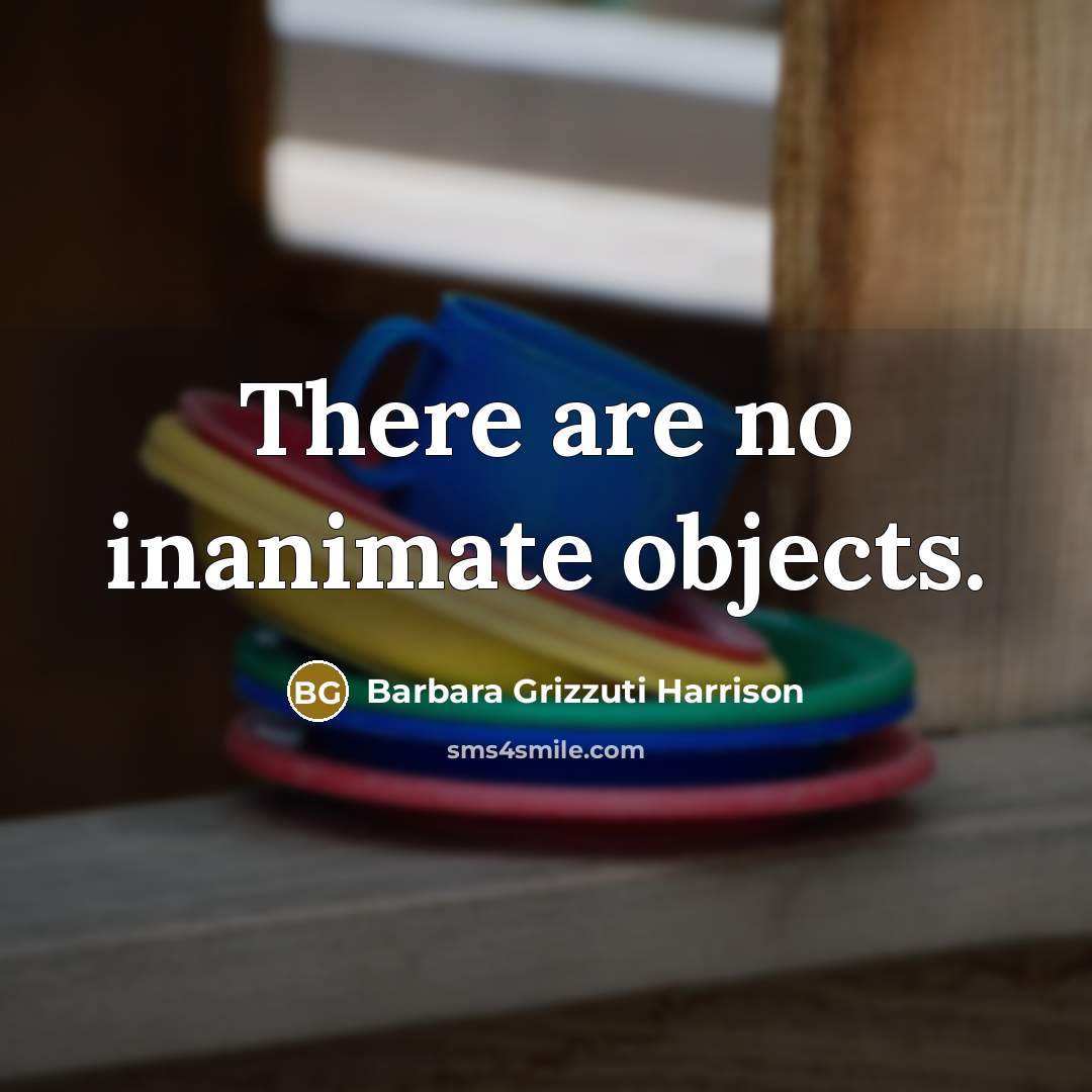 “There are no inanimate objects.” quote by Barbara Grizzuti Harrison