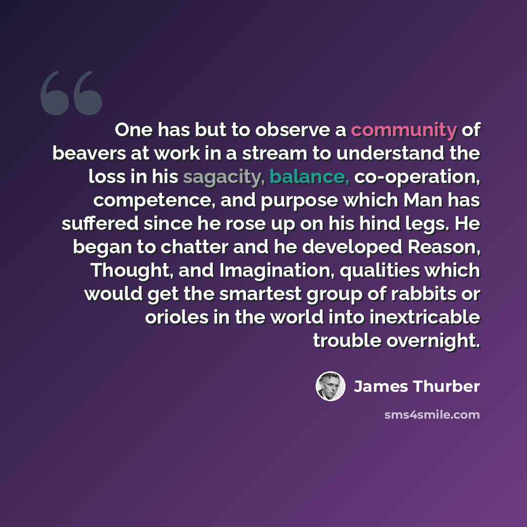 “One has but to observe a community of beavers at work in a stream to understand the loss in his sagacity, balance, co-operation, competence, and purpose which Man has suffered since he rose up on his hind legs. He began to chatter and he developed Reason, Thought, and Imagination, qualities which…” quote by James Thurber