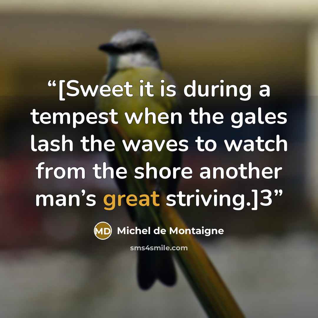 “[Sweet it is during a tempest when the gales lash the waves to watch from the shore another man’s great striving.]3” quote by Michel de Montaigne
