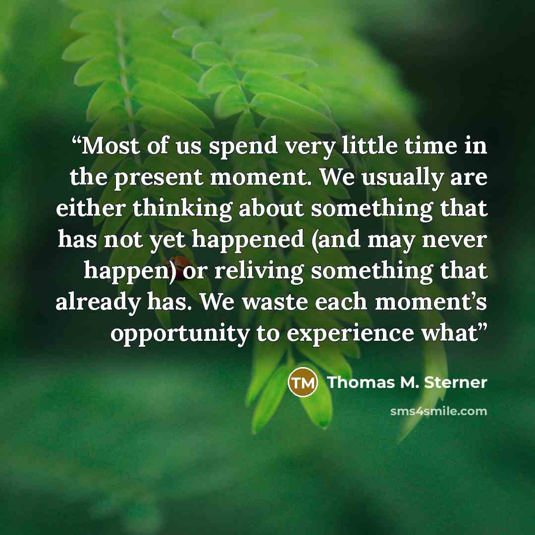 “Most of us spend very little time in the present moment. We usually are either thinking about something that has not yet happened (and may never happen) or reliving something that already has. We waste each moment’s opportunity to experience what” quote by Thomas M. Sterner
