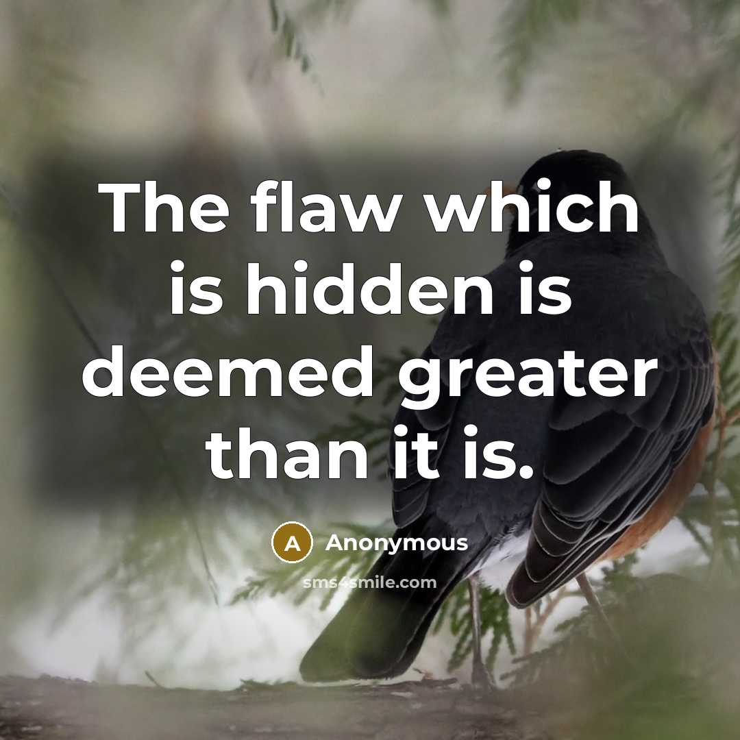 “The flaw which is hidden is deemed greater than it is.” quote by Anonymous