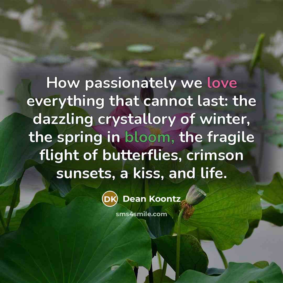 “How passionately we love everything that cannot last: the dazzling crystallory of winter, the spring in bloom, the fragile flight of butterflies, crimson sunsets, a kiss, and life.” quote by Dean Koontz