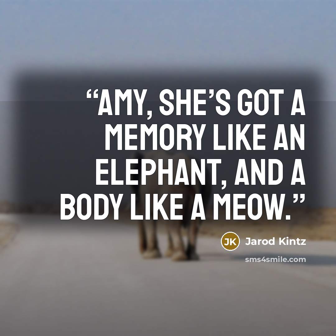 “Amy, she’s got a memory like an elephant, and a body like a meow.” quote by Jarod Kintz
