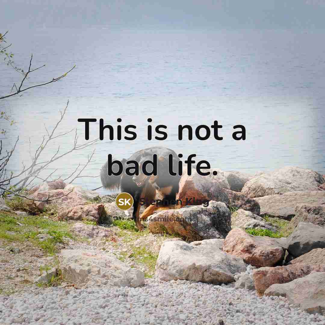 “This is not a bad life.” quote by Stephen King