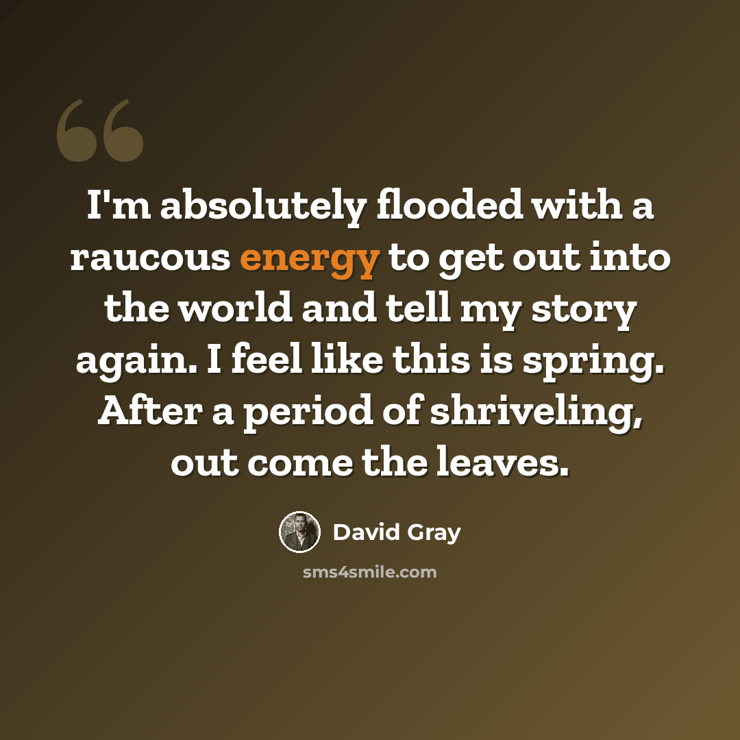 “I'm absolutely flooded with a raucous energy to get out into the world and tell my story again. I feel like this is spring. After a period of shriveling, out come the leaves.” quote by David Gray
