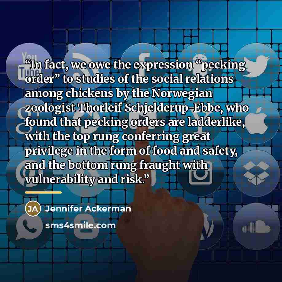 “In fact, we owe the expression “pecking order” to studies of the social relations among chickens by the Norwegian zoologist Thorleif Schjelderup-Ebbe, who found that pecking orders are ladderlike, with the top rung conferring great privilege in the form of food and safety, and the bottom rung…” quote by Jennifer Ackerman