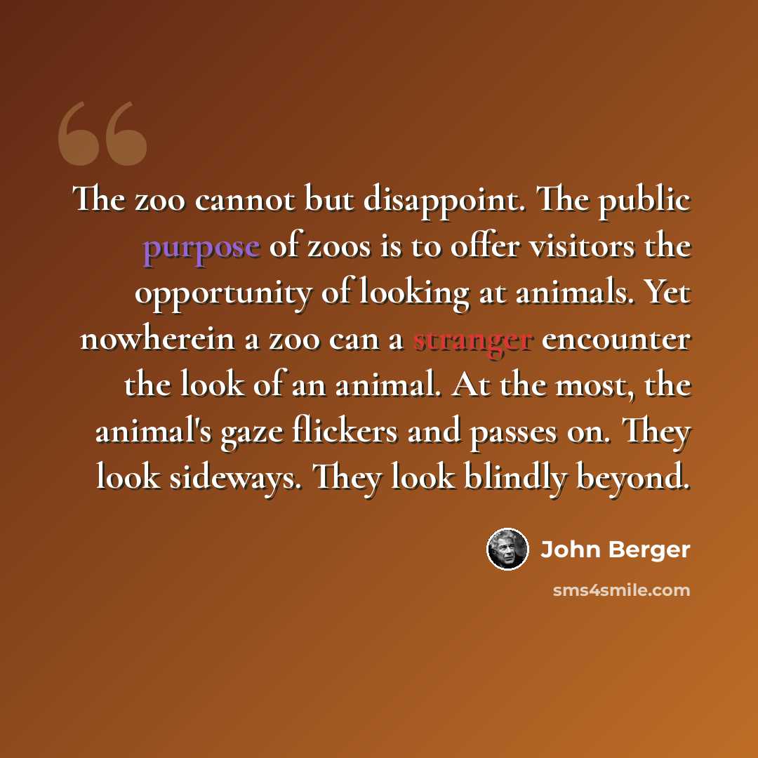 “The zoo cannot but disappoint. The public purpose of zoos is to offer visitors the opportunity of looking at animals. Yet nowherein a zoo can a stranger encounter the look of an animal. At the most, the animal's gaze flickers and passes on. They look sideways. They look blindly beyond.” quote by John Berger
