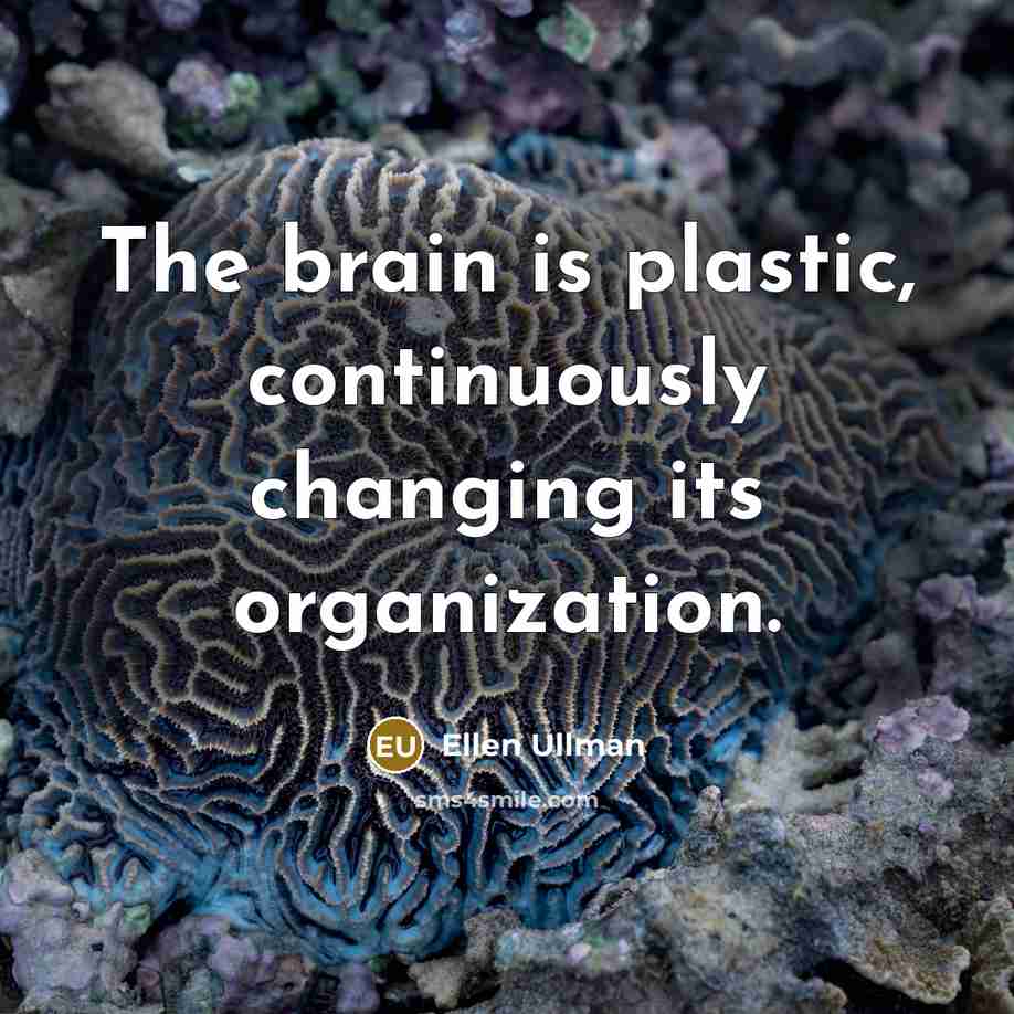 “The brain is plastic, continuously changing its organization.” quote by Ellen Ullman
