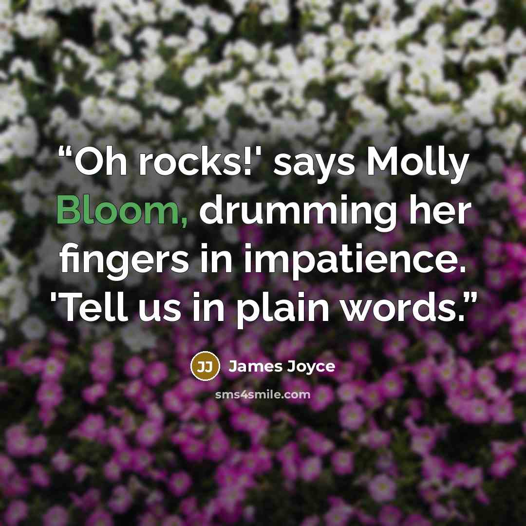 “Oh rocks!' says Molly Bloom, drumming her fingers in impatience. 'Tell us in plain words.” quote by James Joyce