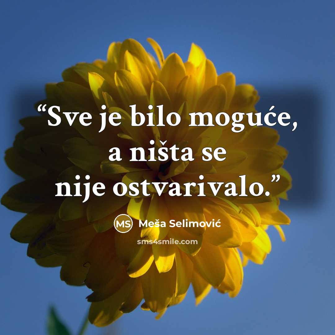 “Sve je bilo moguće, a ništa se nije ostvarivalo.” quote by Meša Selimović
