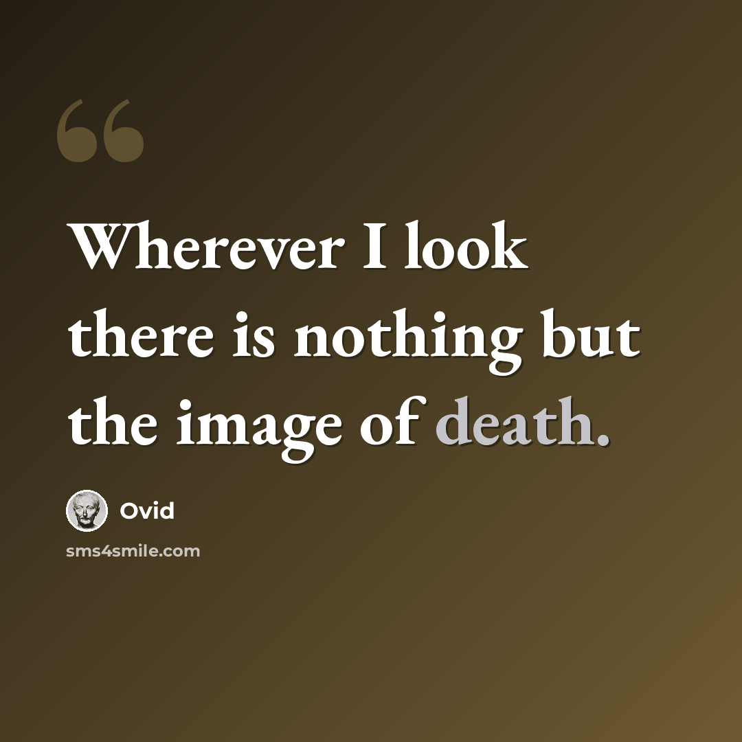 “Wherever I look there is nothing but the image of death.” quote by Ovid
