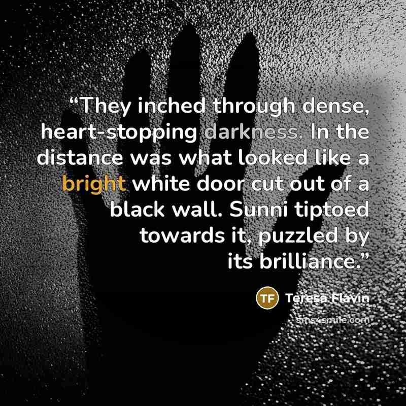 “They inched through dense, heart-stopping darkness. In the distance was what looked like a bright white door cut out of a black wall. Sunni tiptoed towards it, puzzled by its brilliance.” quote by Teresa Flavin