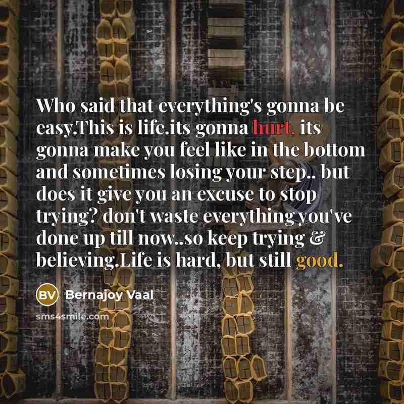 “Who said that everything's gonna be easy.This is life.its gonna hurt, its gonna make you feel like in the bottom and sometimes losing your step.. but does it give you an excuse to stop trying? don't waste everything you've done up till now..so keep trying & believing.Life is hard, but still good.” quote by Bernajoy Vaal