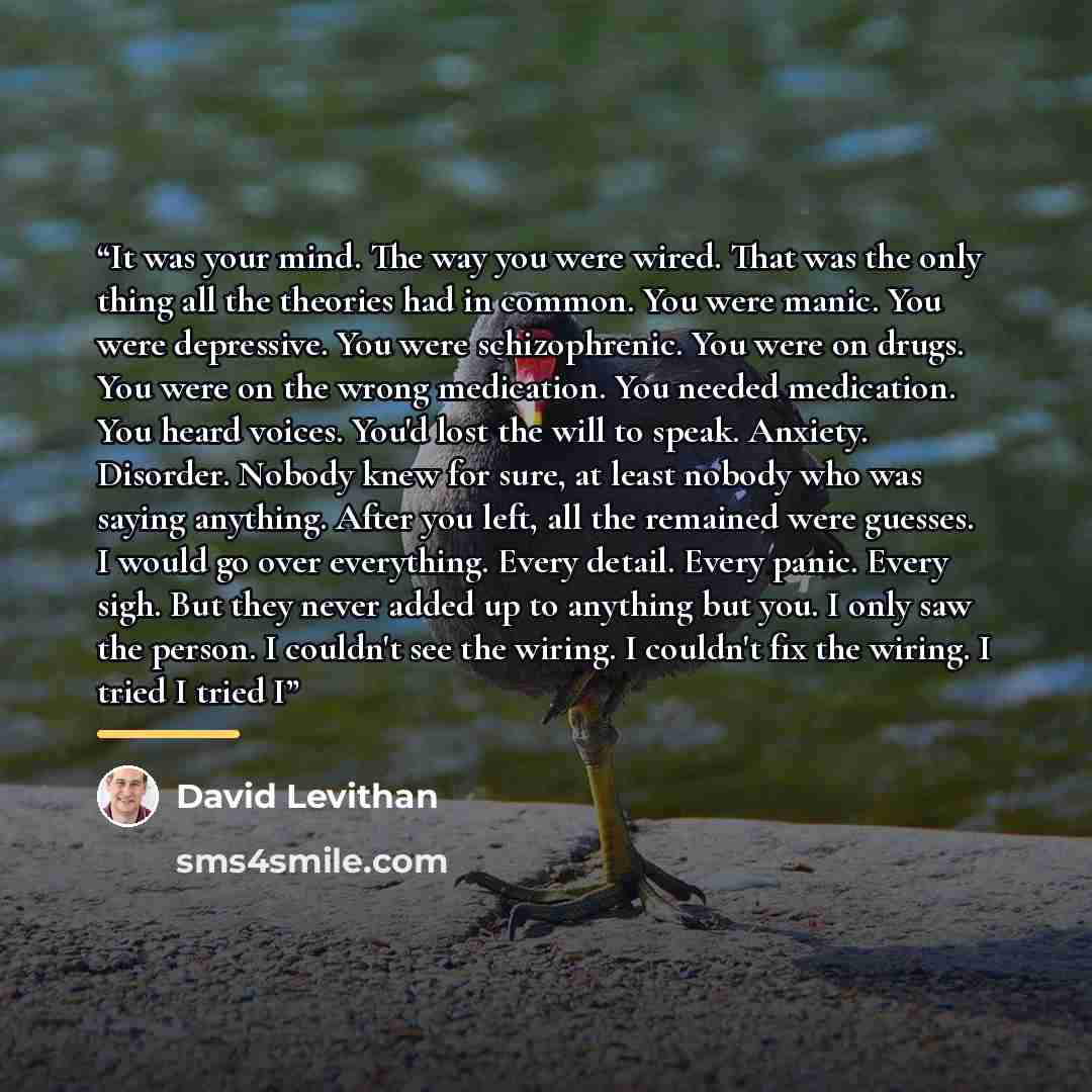 “It was your mind. The way you were wired. That was the only thing all the theories had in common. You were manic. You were depressive. You were schizophrenic. You were on drugs. You were on the wrong medication. You needed medication. You heard voices. You'd lost the will to speak. Anxiety…” quote by David Levithan