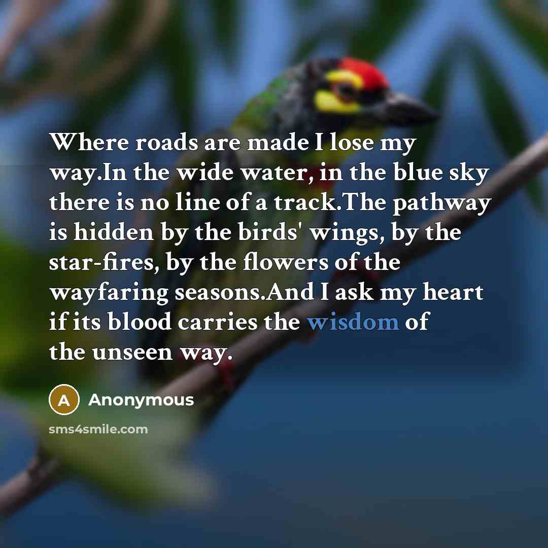 “Where roads are made I lose my way.In the wide water, in the blue sky there is no line of a track.The pathway is hidden by the birds' wings, by the star-fires, by the flowers of the wayfaring seasons.And I ask my heart if its blood carries the wisdom of the unseen way.” quote by Anonymous