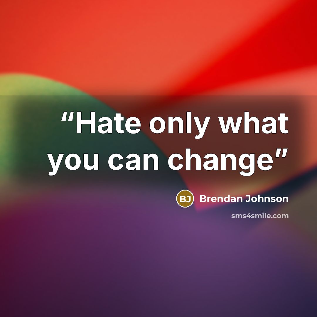 “Hate only what you can change” quote by Brendan Johnson