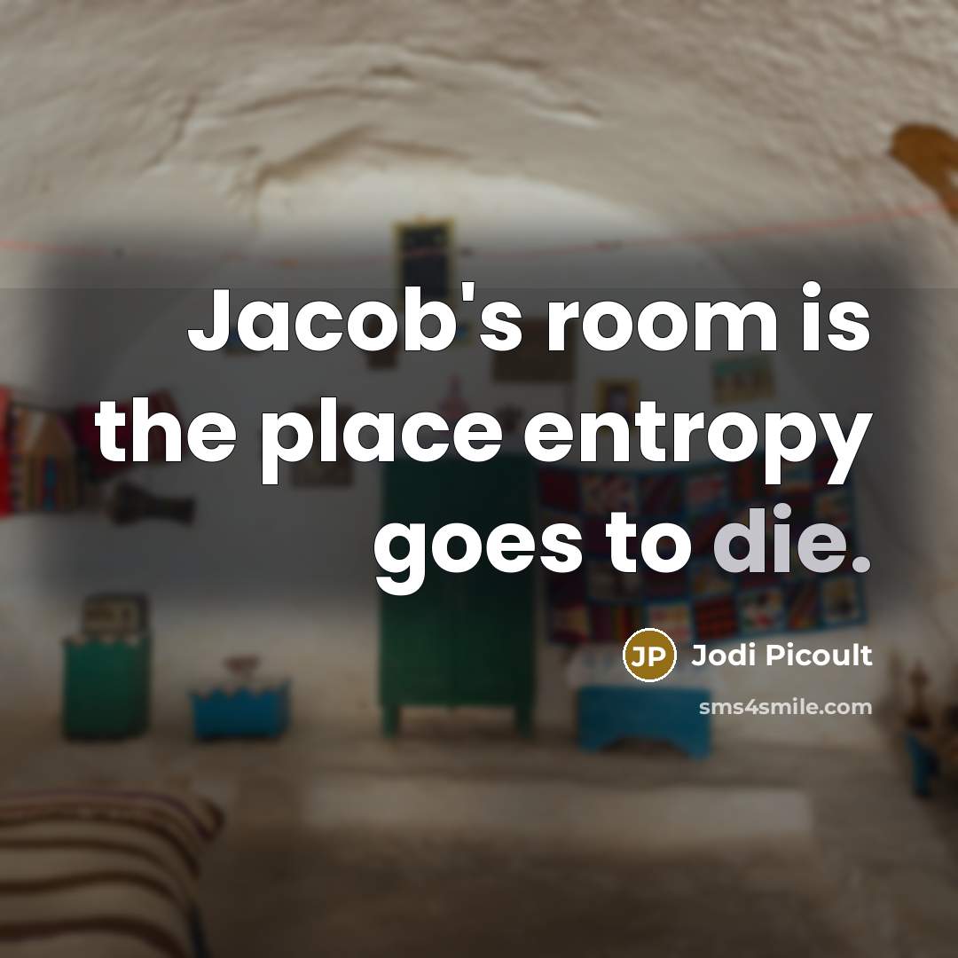 “Jacob's room is the place entropy goes to die.” quote by Jodi Picoult