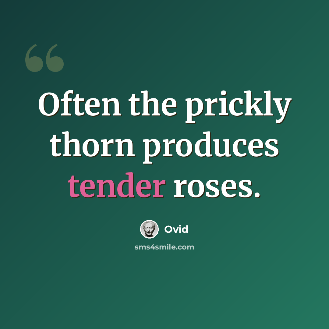 “Often the prickly thorn produces tender roses.” quote by Ovid